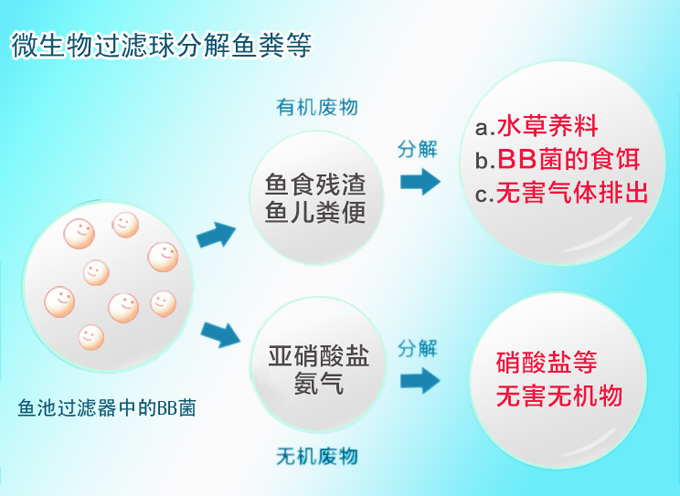 魚池微生物過濾球